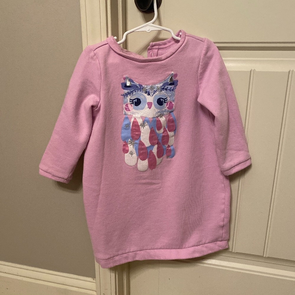 Gymboree Dress with Owl